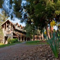 Green College Quad